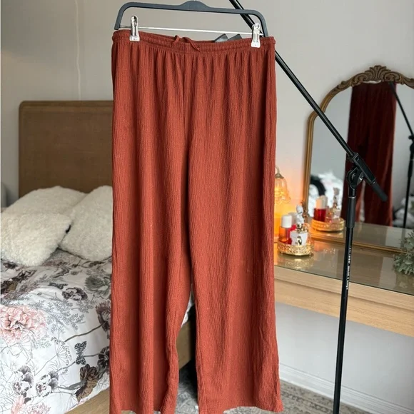 H&M Rust Pants - Picture 2 of 4
